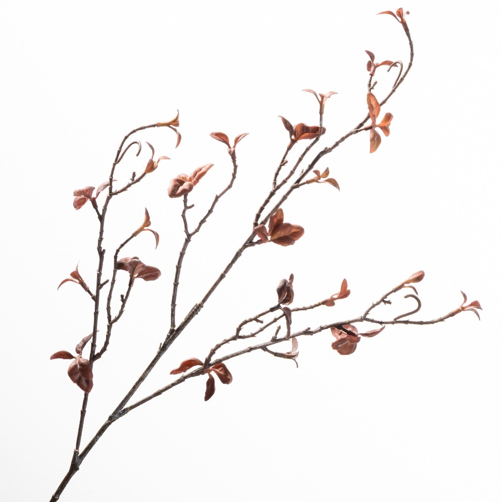 Real Touch Artificial Willow D - Branch Curly Willow ulasan dan harga