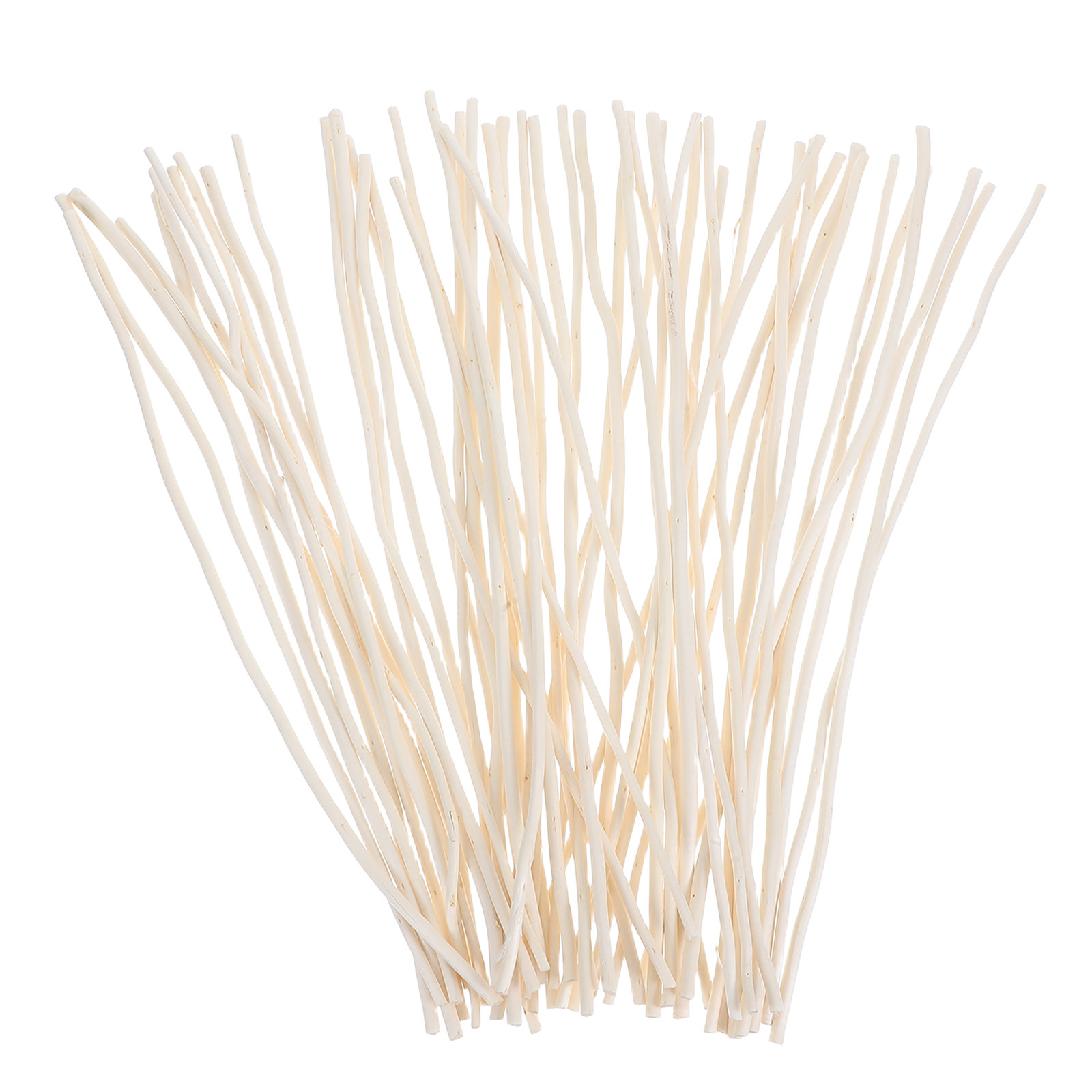 50Pcs Dried Dragon Willow Bran - Branch Curly Willow ulasan dan harga