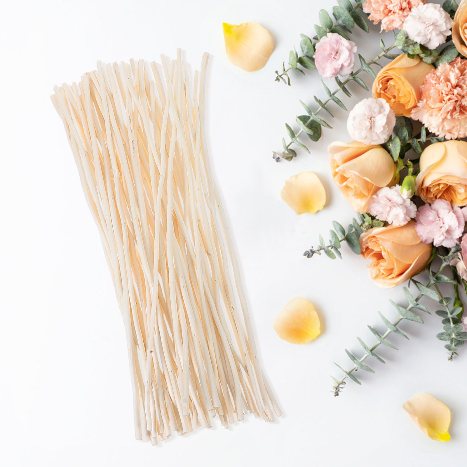 50Pcs Dried Dragon Willow Bran - Branch Curly Willow ulasan dan harga