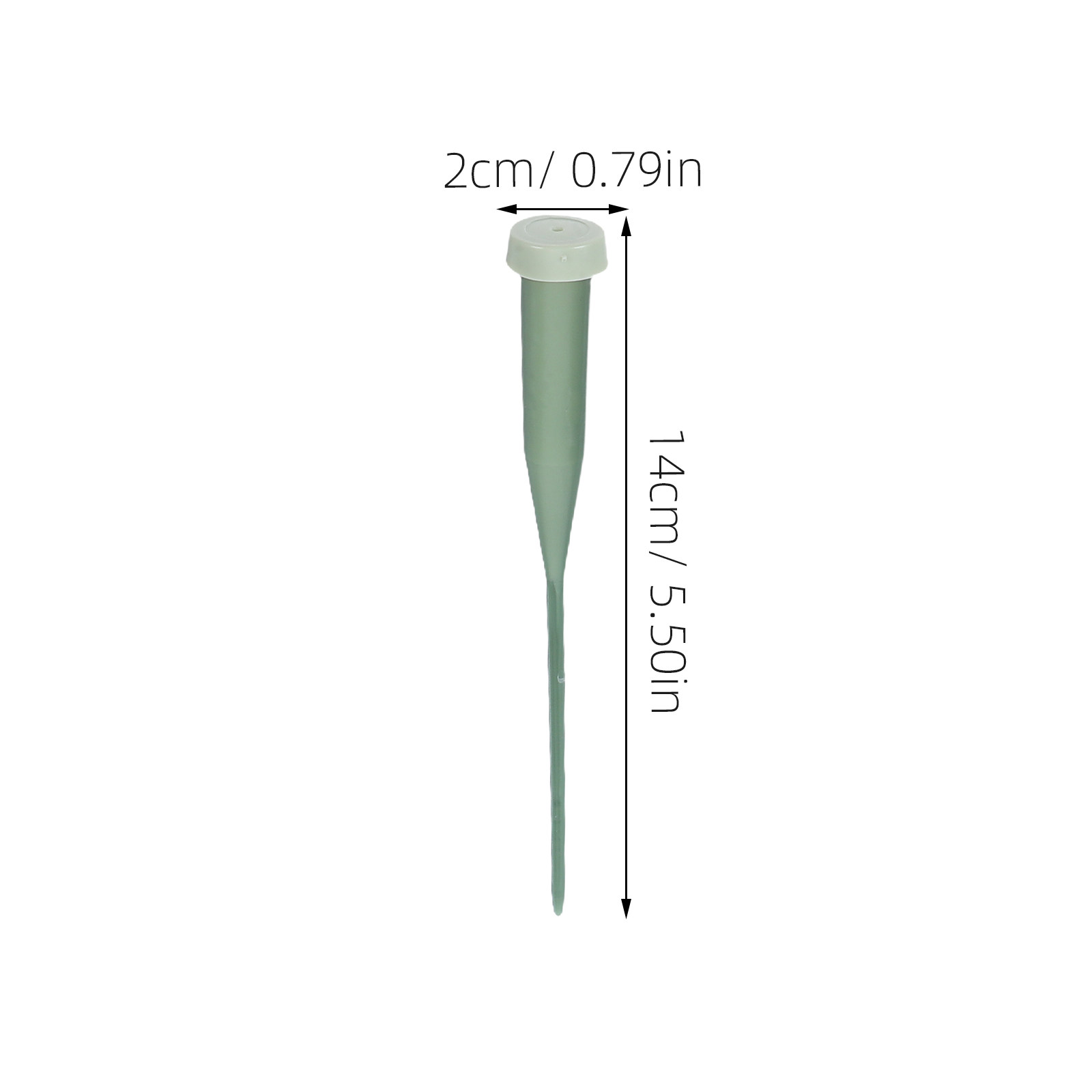 50Pcs Portable Floral Water Tu - Anda Florist Supply ulasan dan harga