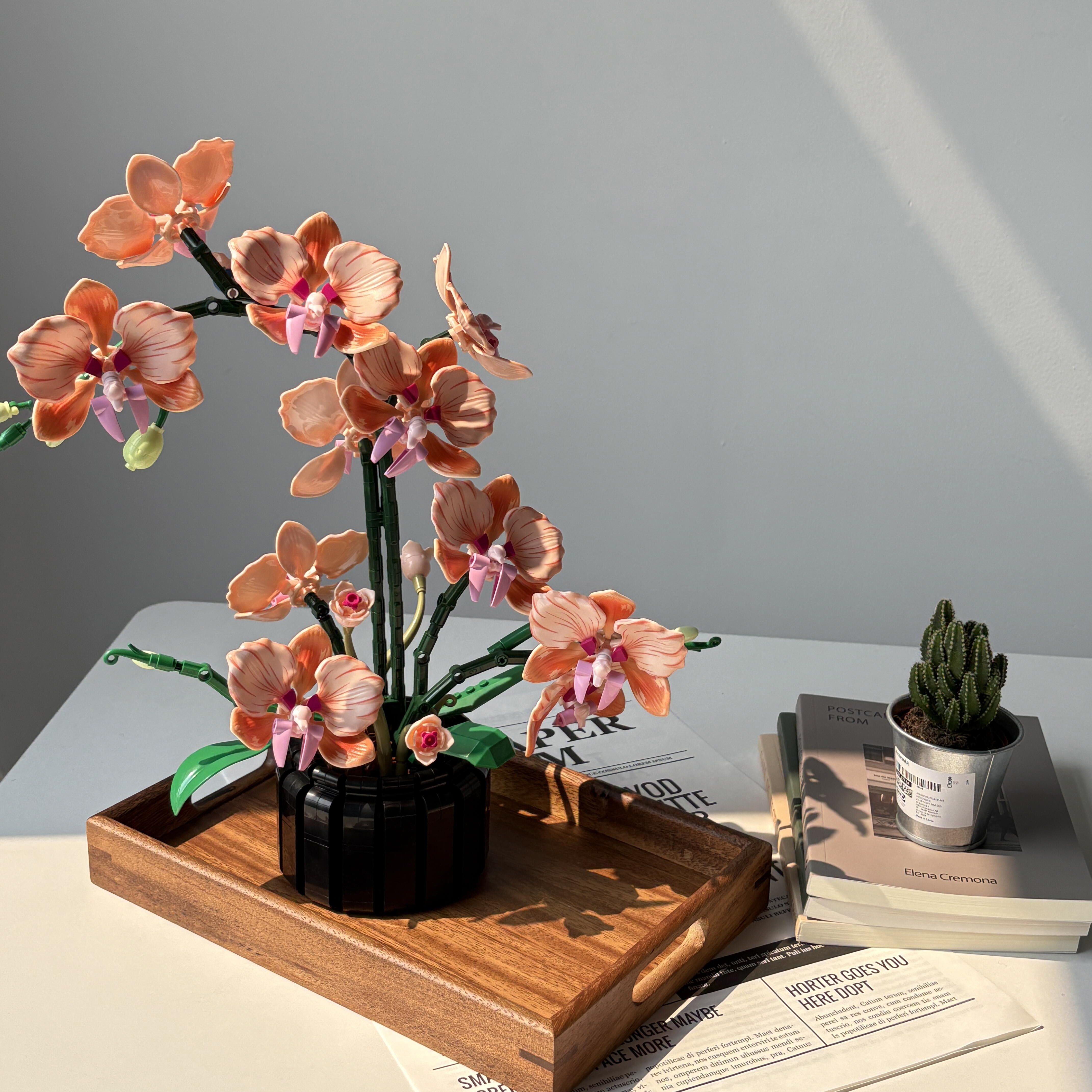 Orange Phalaenopsis Orchid Bui - Florist Supply Vases ulasan dan harga