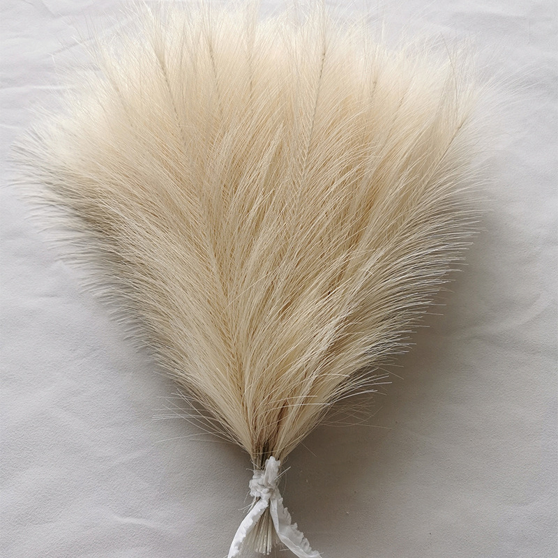 10/20pcs Simulated Reed Feathe - Florist Supply Vases ulasan dan harga