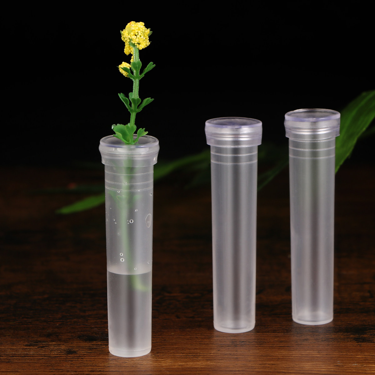 50Pcs Flower Water Storage Tub - Anda Florist Supply ulasan dan harga