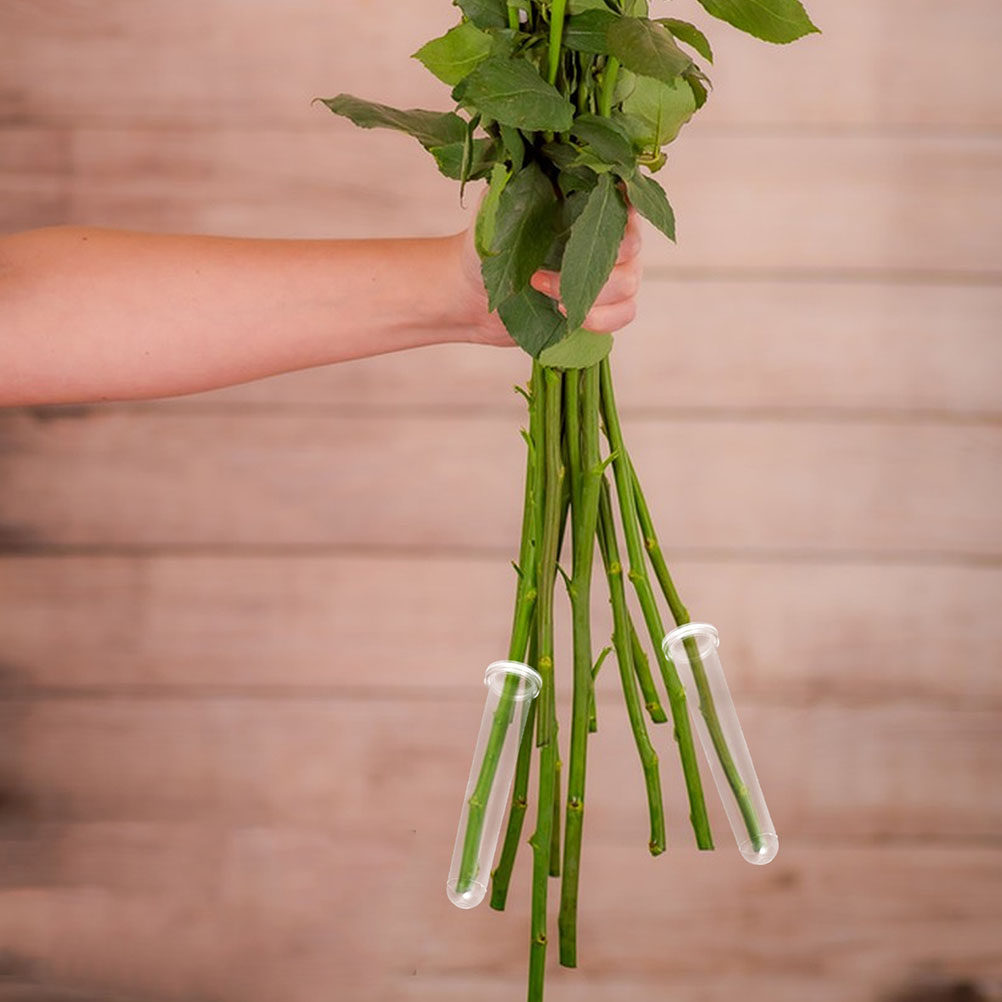 100Pcs Transparent Plastic Flo - Anda Florist Supply ulasan dan harga