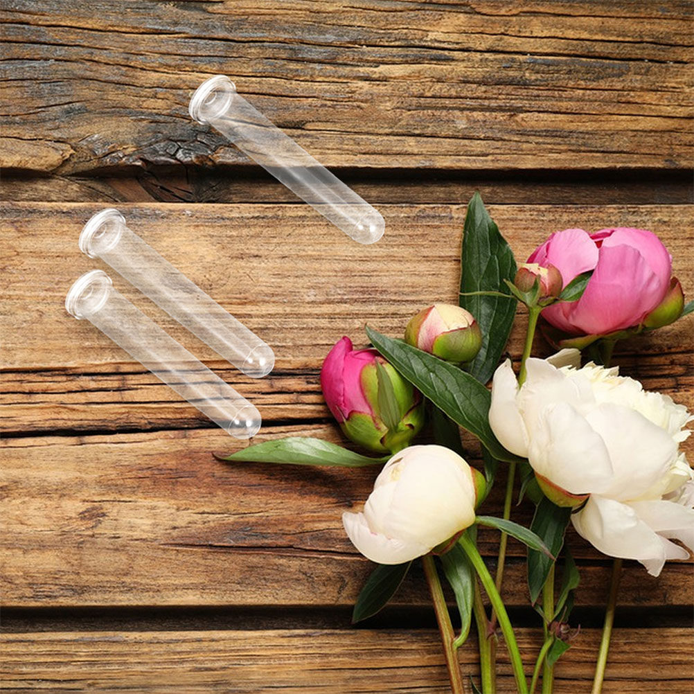 100Pcs Transparent Plastic Flo - Anda Florist Supply ulasan dan harga