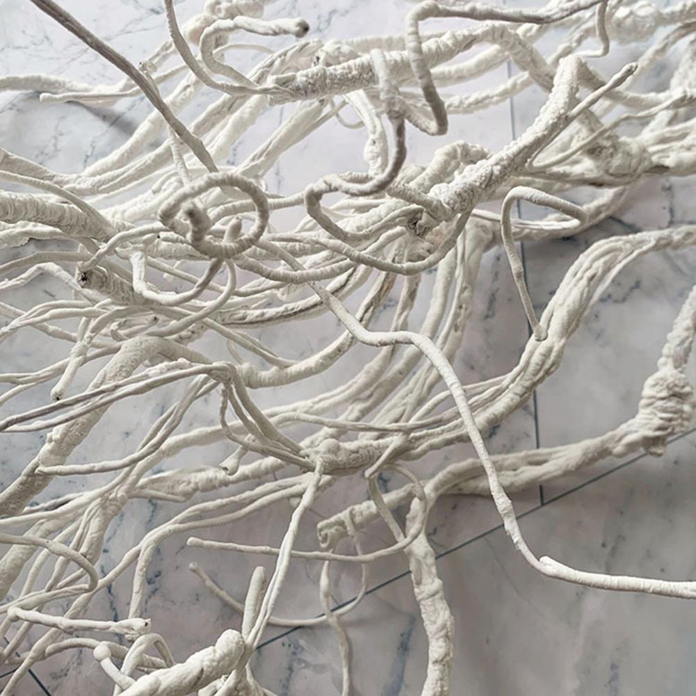 Artificial Branch Decor Artifi - Branch Curly Willow ulasan dan harga